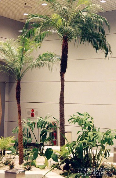 陽(yáng)光照明室內(nèi)綠化應(yīng)用